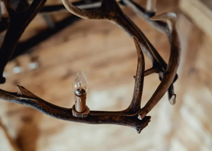 Ξενοδοχείο Les Mazots Du Clos Villars-sur-Ollon